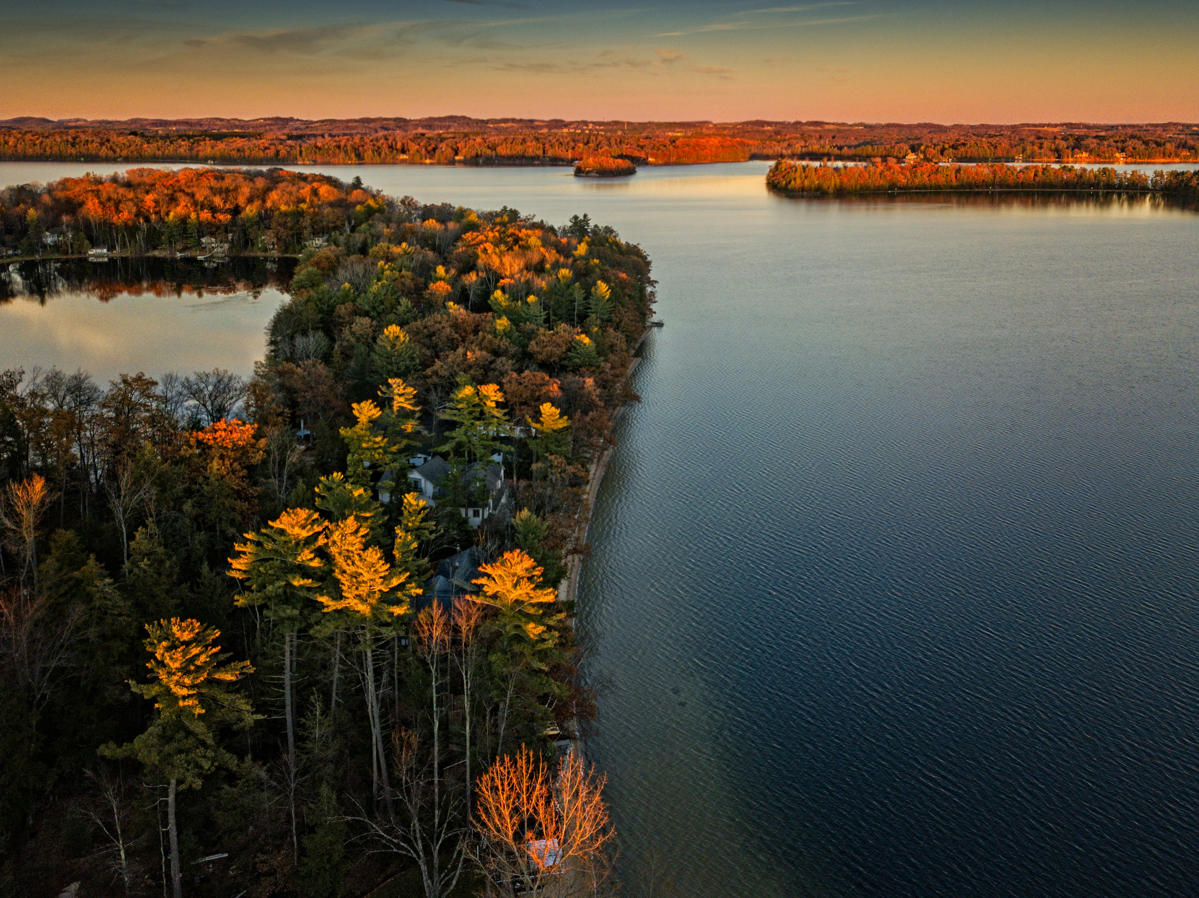 aerial photography of trees near body of water